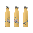 Bottiglia termica in acciaio inox a doppia parete 500 ml decoro con Koala